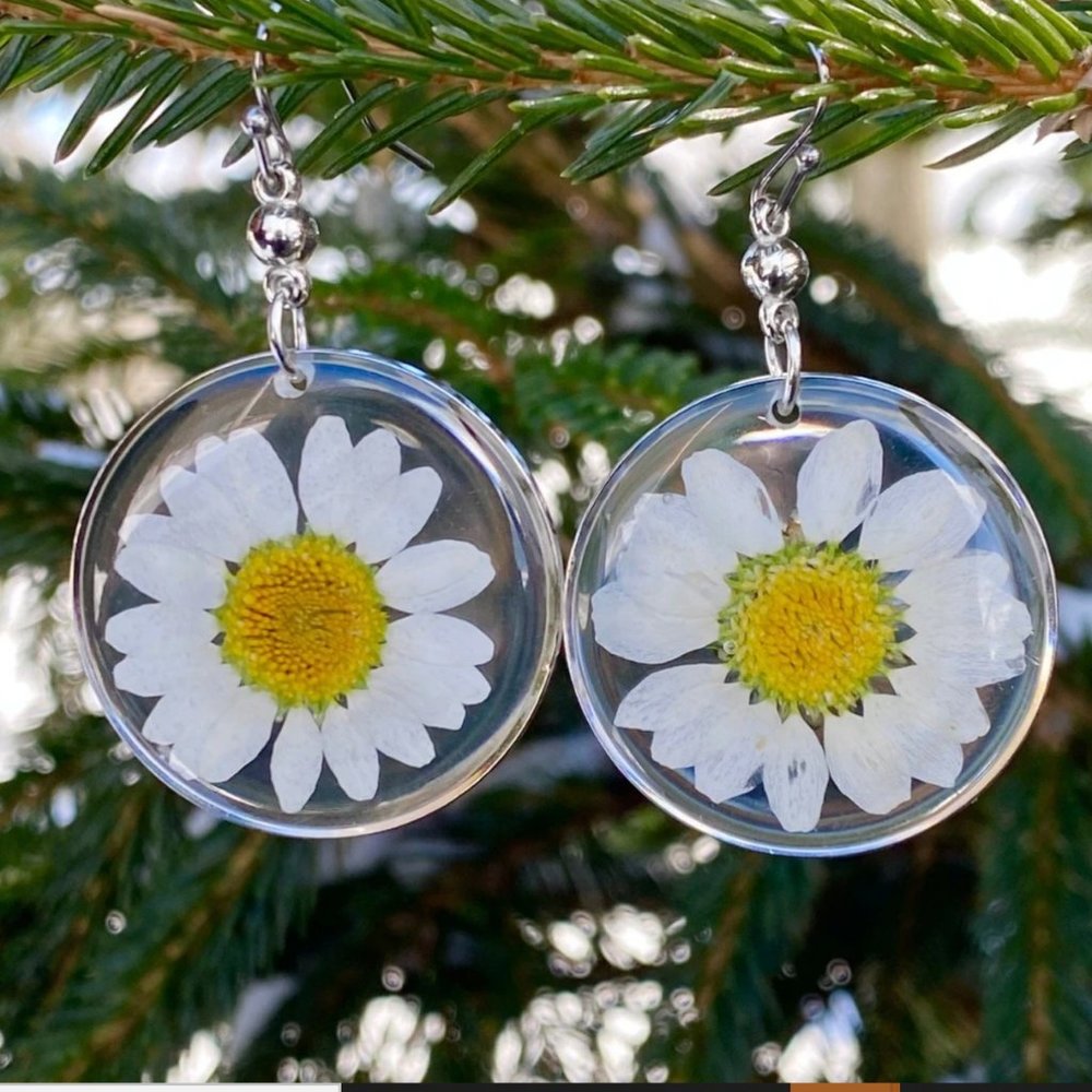 Pressed Daisy Flower Earrings